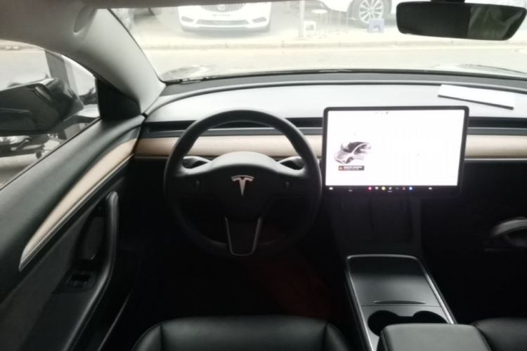 Tesla Model 3 2021 car image #11