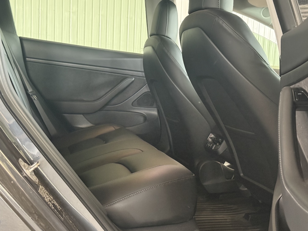 Tesla Model 3 2020 car image #5