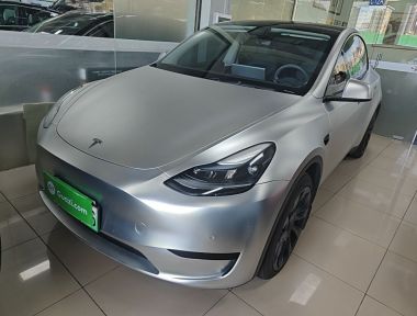 Tesla Model Y 2022 car image 