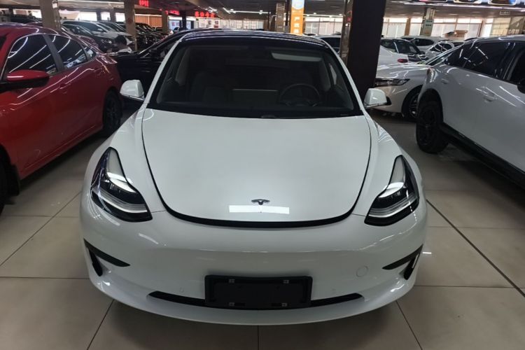 Tesla Model 3 2020 #3 Tesla Model 3 2020 car image #3