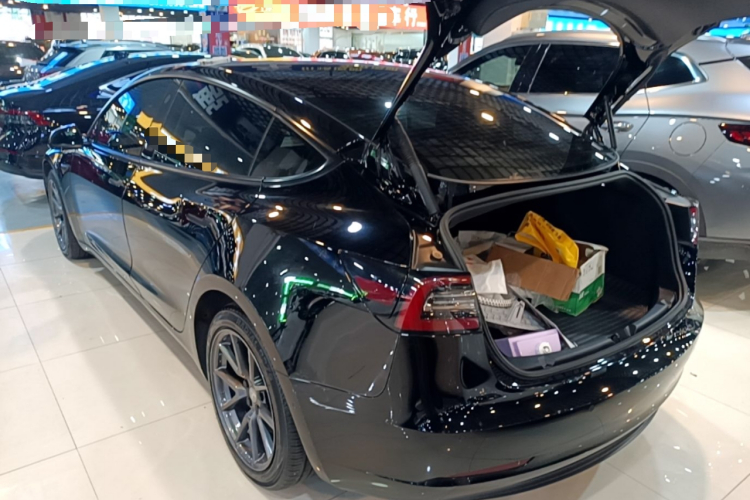 Tesla Model 3 2021 #5 Tesla Model 3 2021 car image #5