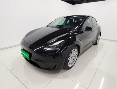 Tesla Model Y 2024 Tesla Model Y 2024 car image
