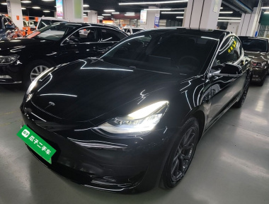 Tesla Model 3 2020 Tesla Model 3 2020 car image