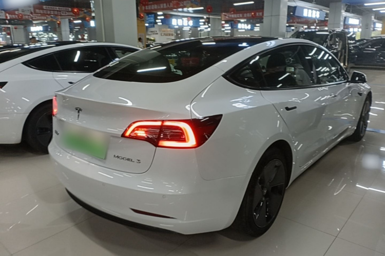 Tesla Model 3 2021 #7 Tesla Model 3 2021 car image #7