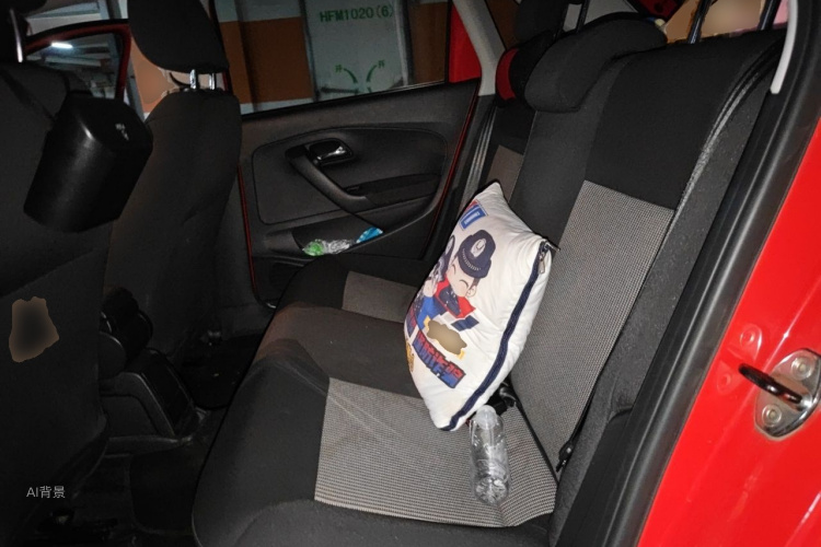 Volkswagen Polo 2016 car image #19