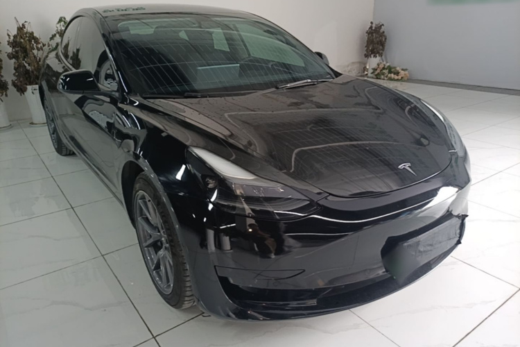 Tesla Model 3 2021 car image #4