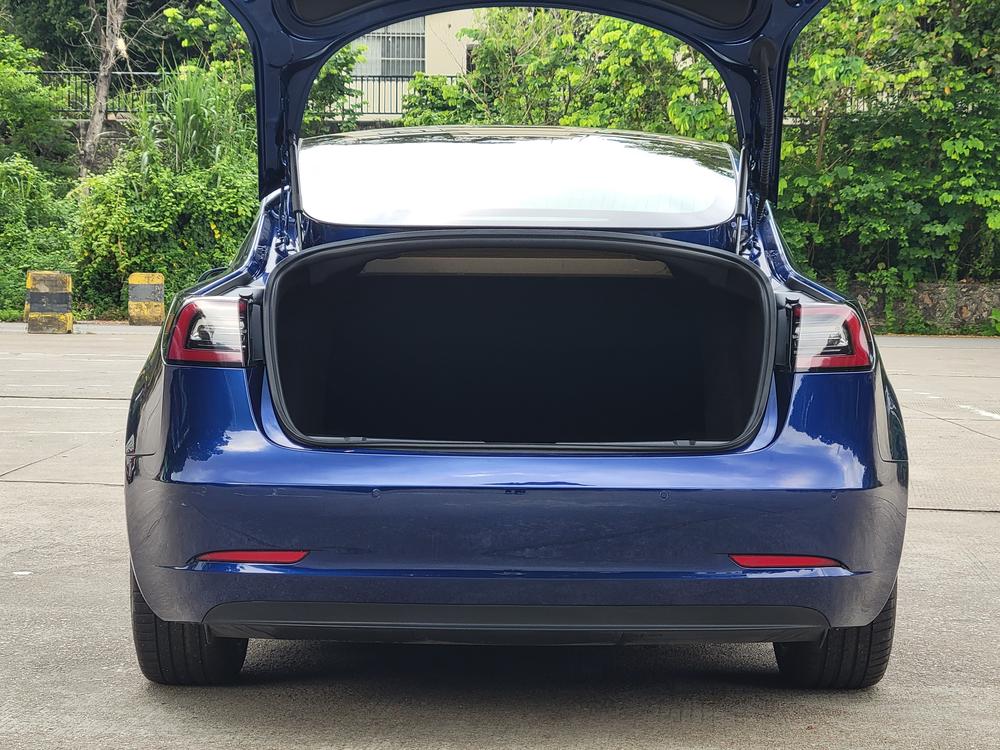 Tesla Model 3 (Imported) 2020 #14 Tesla Model 3 (Imported) 2020 immagine di auto #14