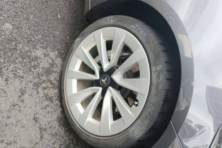 Tesla Model 3 2023 #6 Tesla Model 3 2023 car image #6