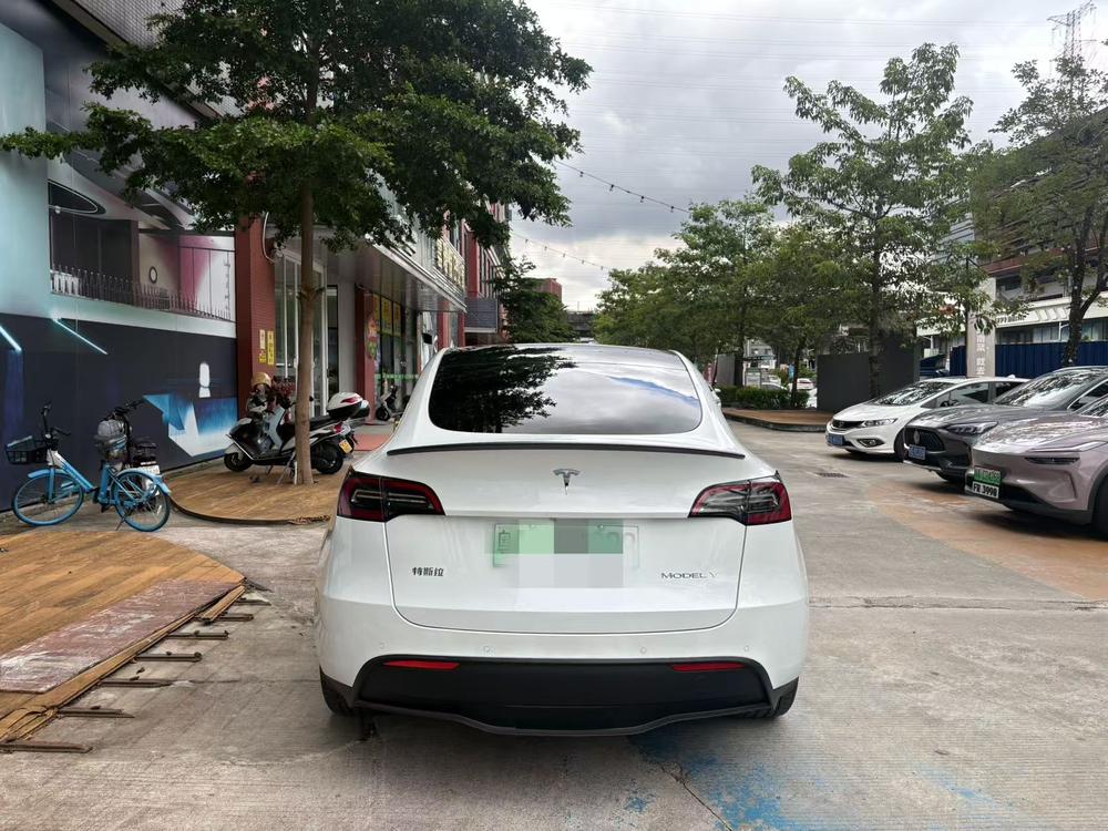 Tesla Model Y 2023 car image #6
