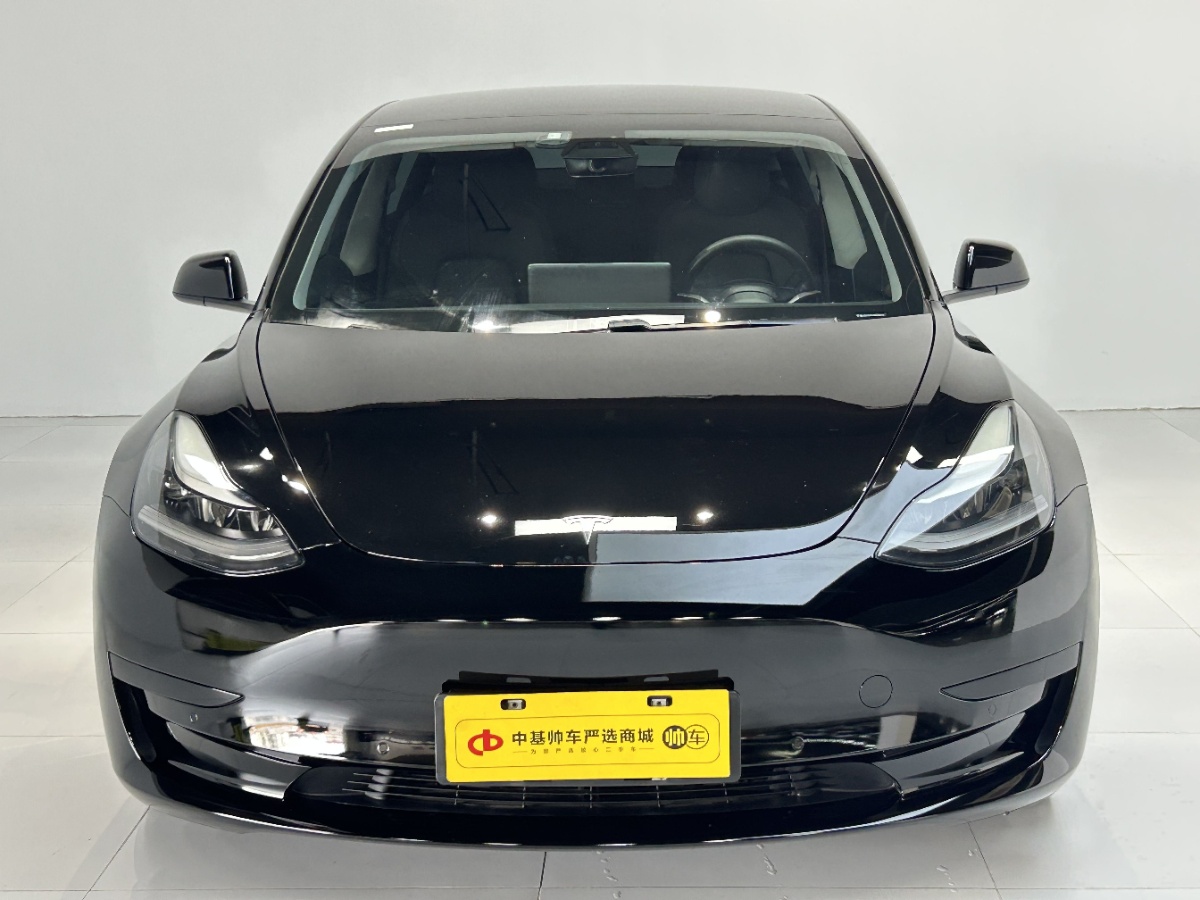 Tesla Model 3 2021 #2 Tesla Model 3 2021 car image #2