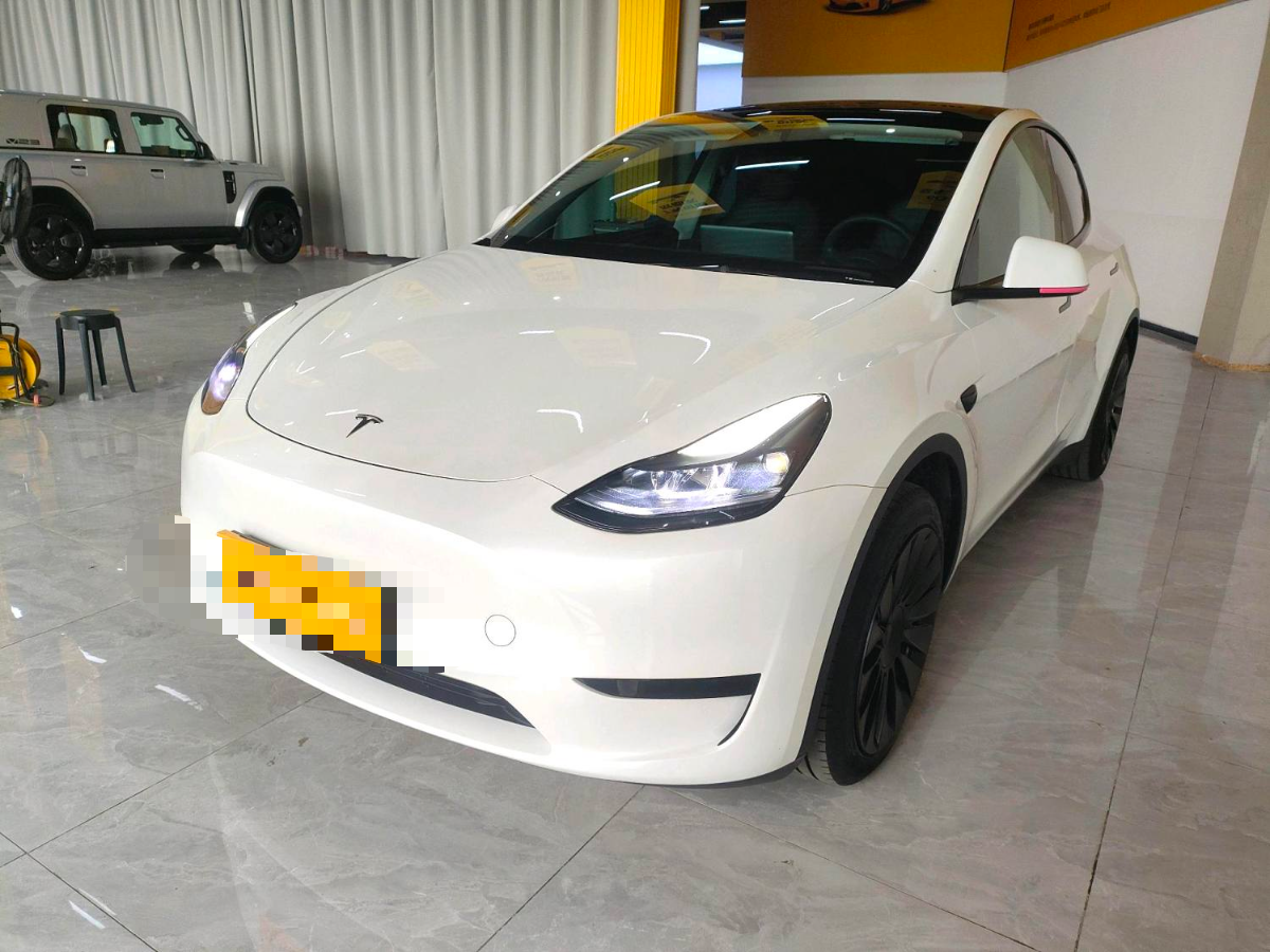 Tesla Model Y 2024 car image 