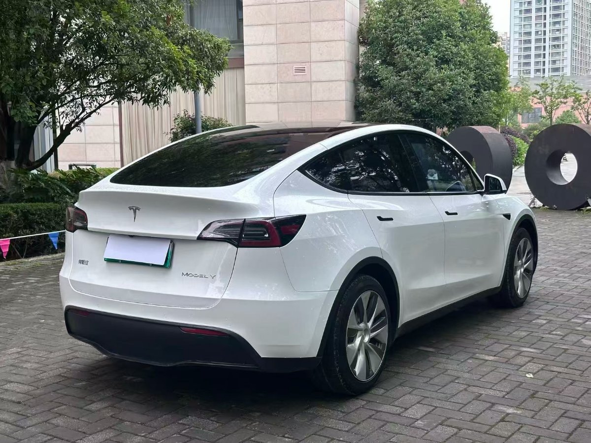 Tesla Model Y 2023 #6 Tesla Model Y 2023 car image #6