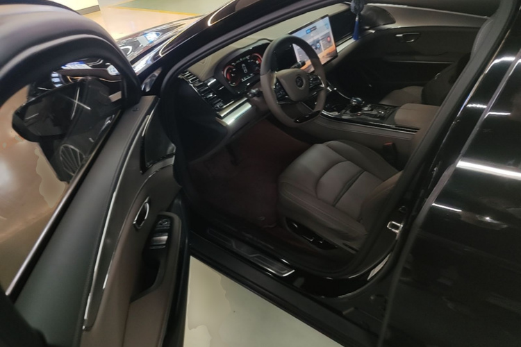 BYD Han 2021 #16 BYD Han 2021 immagine di auto #16