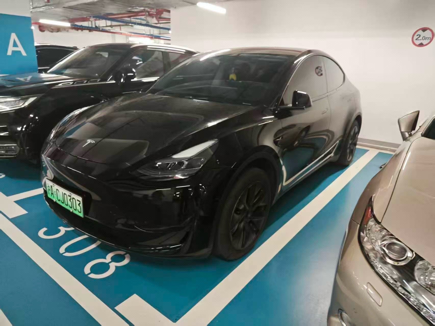 Tesla Model Y 2023 car image 