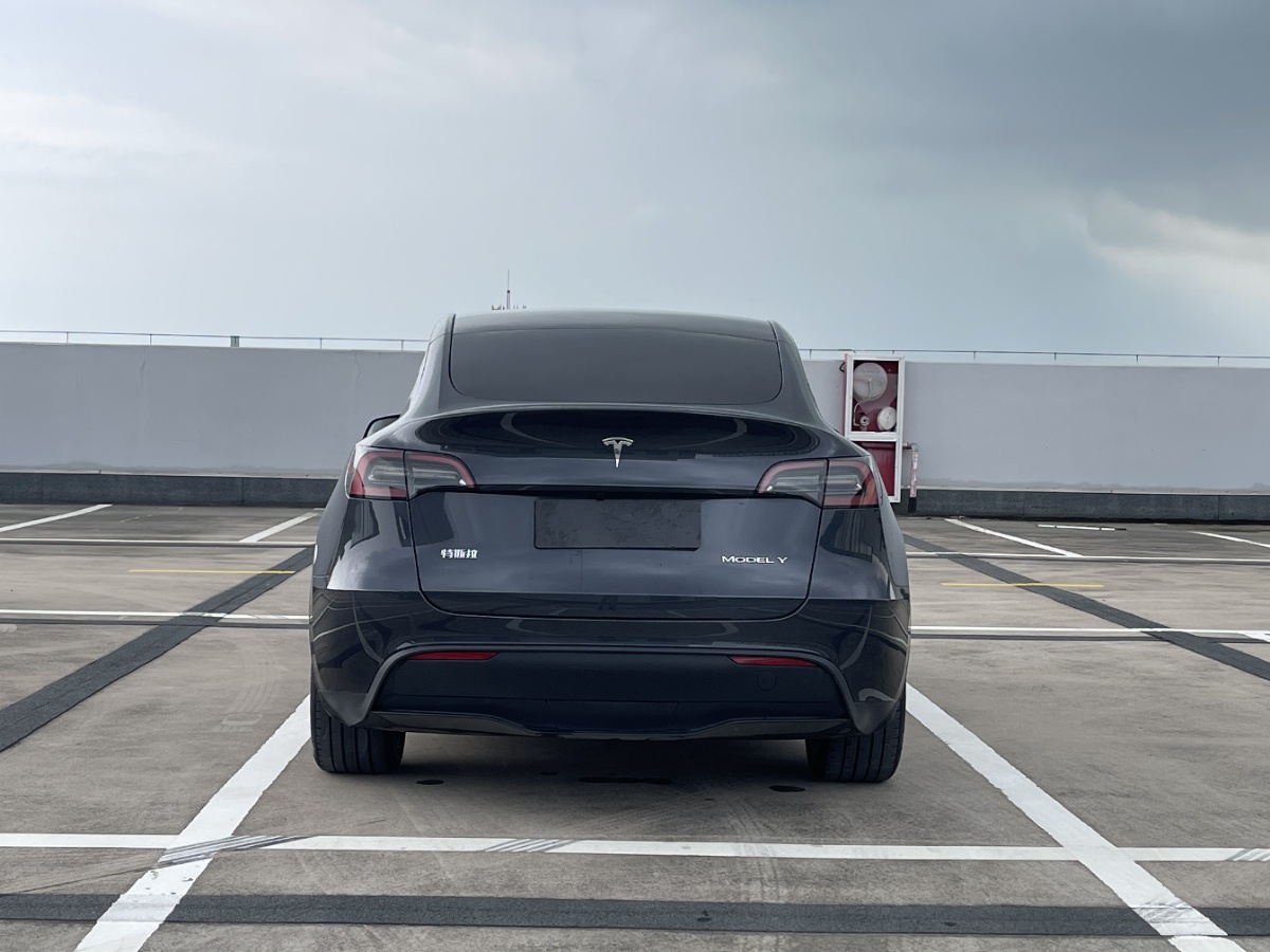 Tesla Model Y 2024 car image #9