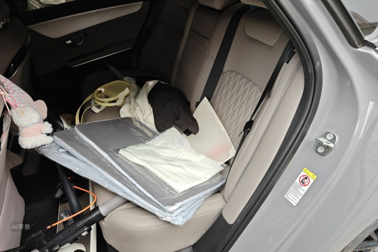 BYD Han 2024 car image #19
