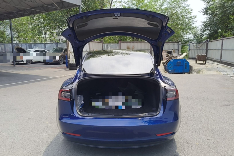 Tesla Model 3 2020 car image #21
