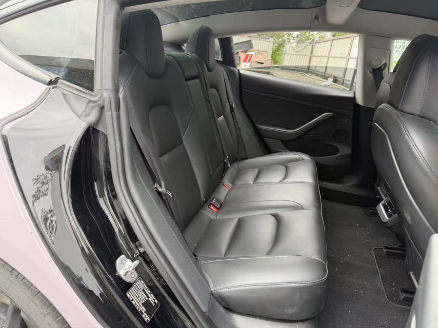 Tesla Model 3 2021 imagem de carro #7