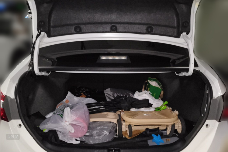 Toyota Corolla 2019 car image #21