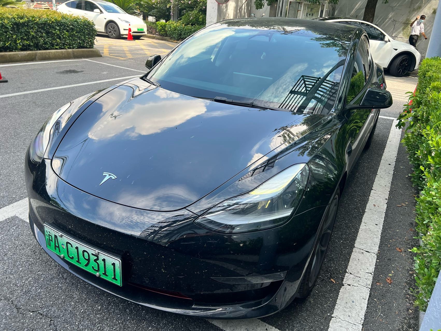 Tesla Model 3 2022 car image 