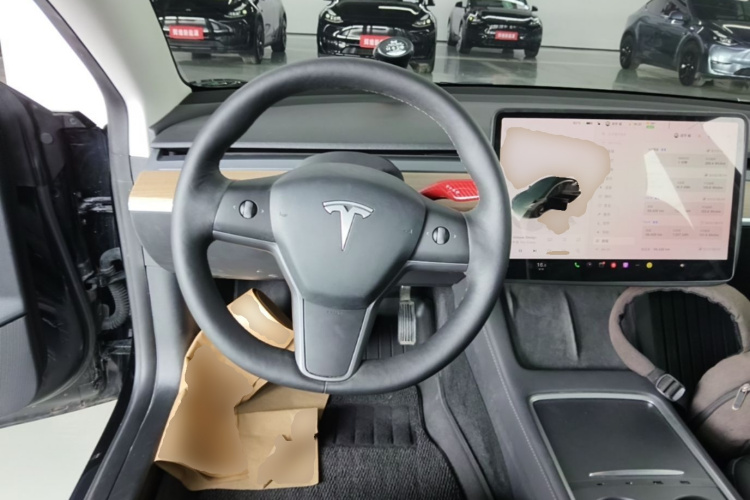Tesla Model 3 2023 car image #11