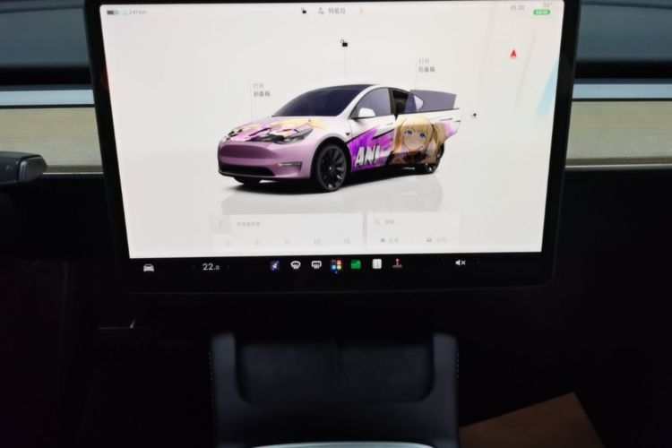 Tesla Model Y 2022 #17 Tesla Model Y 2022 car image #17