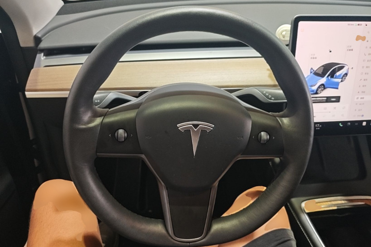 Tesla Model Y 2021 car image #11
