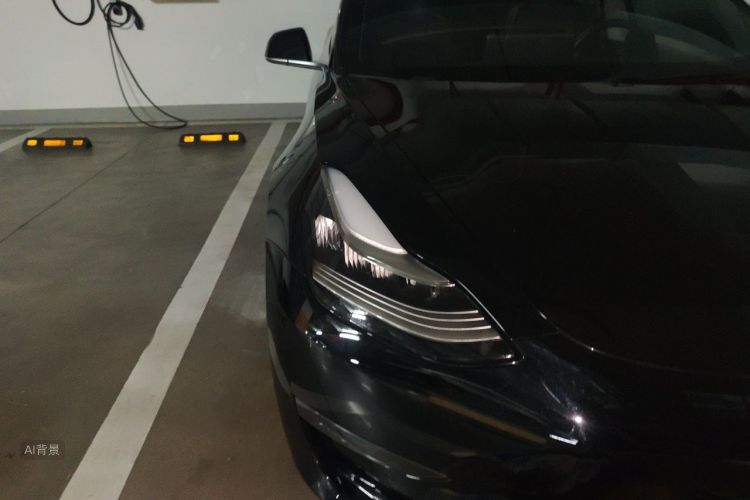 Tesla Model 3 2020 car image #8