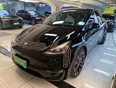 Tesla Model Y 2023 Tesla Model Y 2023 car image
