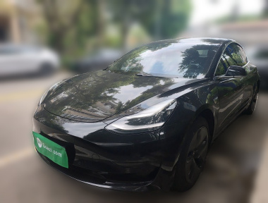 Tesla Model 3 2020 Tesla Model 3 2020 car image