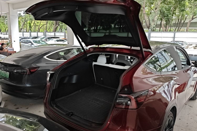 Tesla Model Y 2021 car image #21
