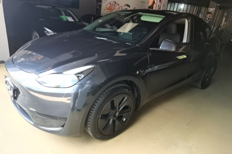 Tesla Model Y 2024 #2 Tesla Model Y 2024 car image #2