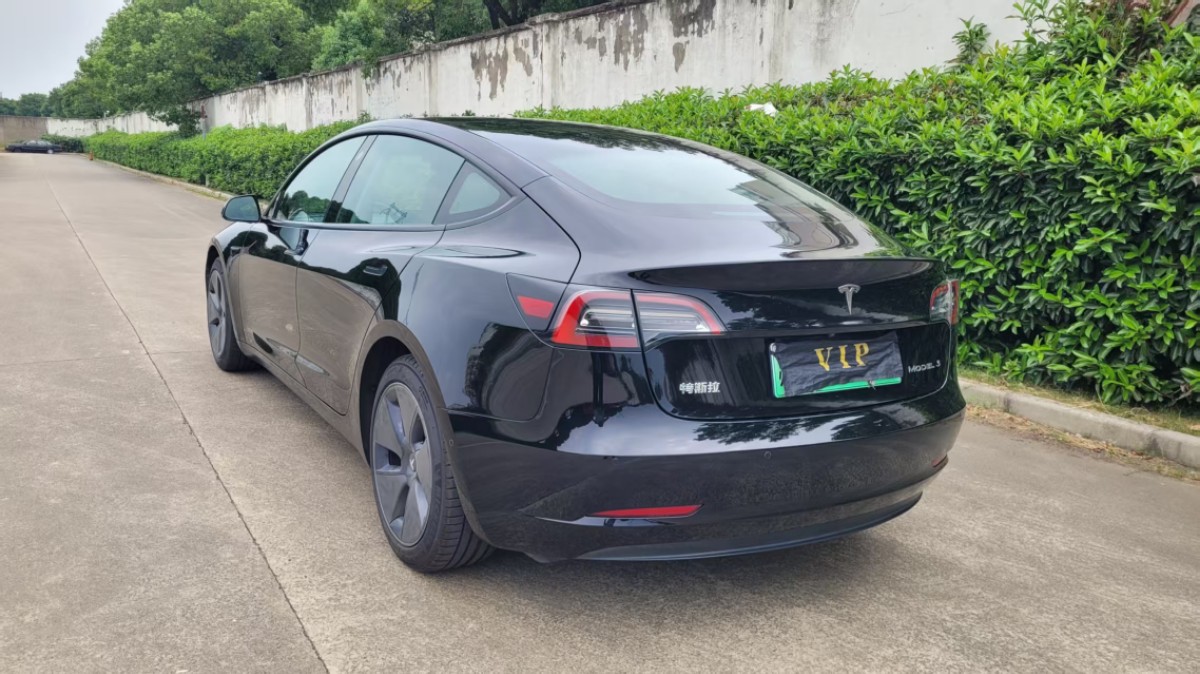 Tesla Model 3 2021 #5 Tesla Model 3 2021 car image #5
