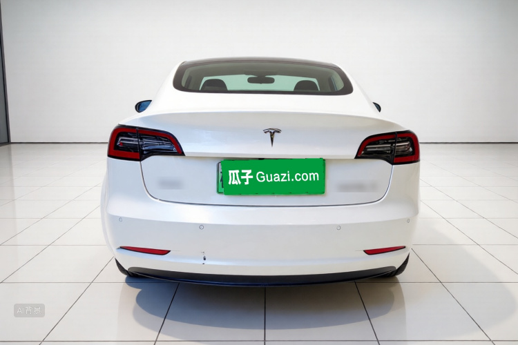 Tesla Model 3 2021 car image #6