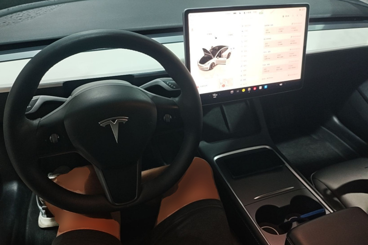 Tesla Model 3 2022 car image #10
