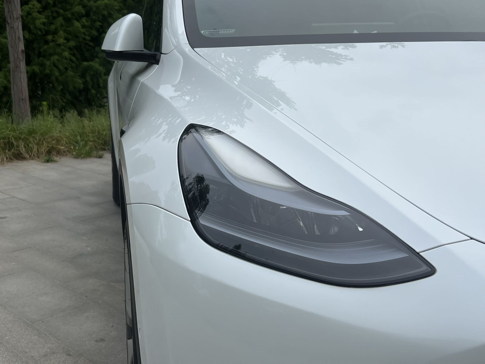Tesla Model Y 2023 #7 Tesla Model Y 2023 car image #7