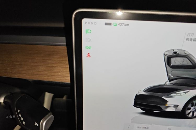 Tesla Model Y 2023 car image #13