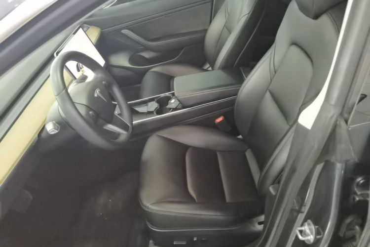 Tesla Model 3 2020 car image #15