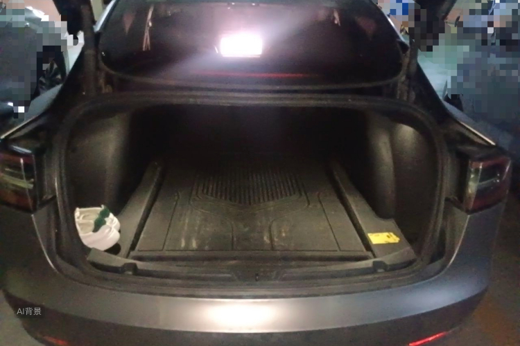 Tesla Model 3 2022 #21 Tesla Model 3 2022 immagine di auto #21