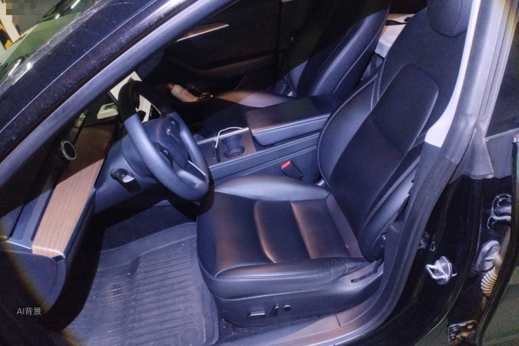 Tesla Model 3 2022 imagem de carro #17