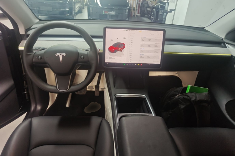 Tesla Model Y 2023 car image #10