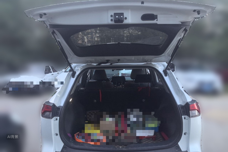 Toyota Corolla Cross 2022 car image #21