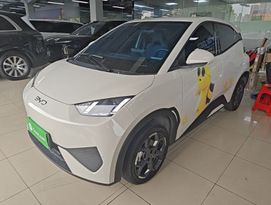 BYD Seagull 2025 car image 