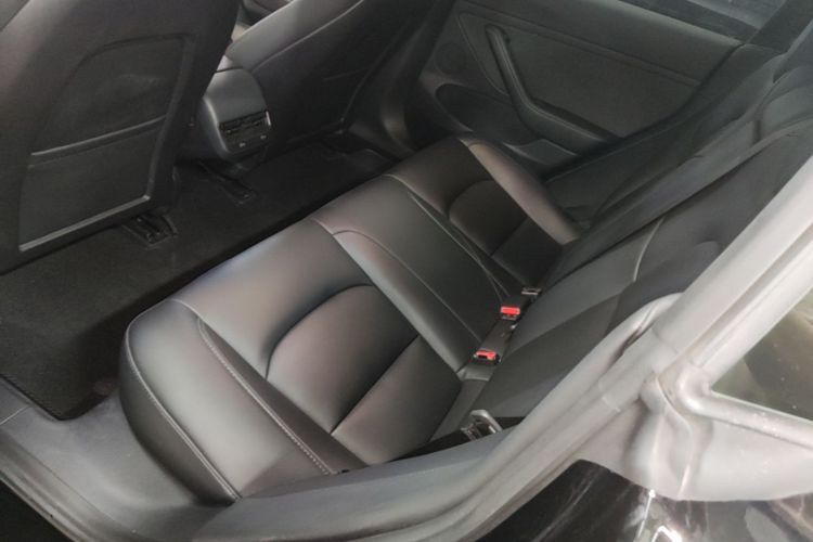 Tesla Model 3 2022 #17 Tesla Model 3 2022 car image #17