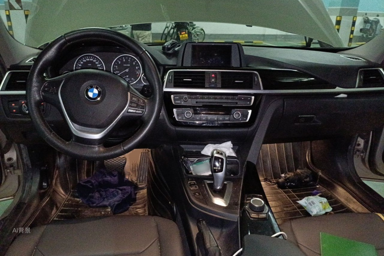 BMW 3 Series 2016 car image #11