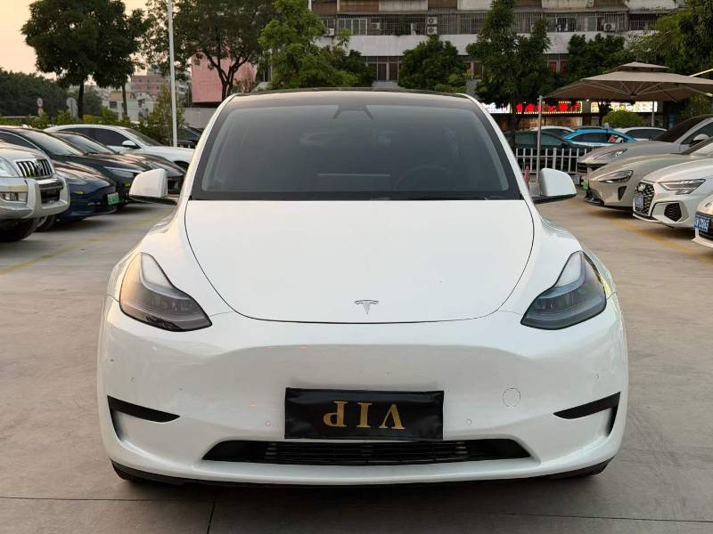 Tesla Model Y 2023 #2 Tesla Model Y 2023 صورة سيارة #2