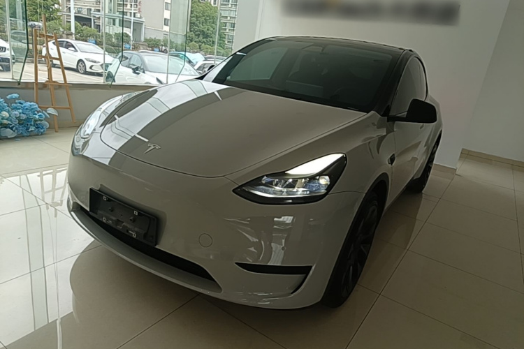 Tesla Model Y 2022 #2 Tesla Model Y 2022 car image #2