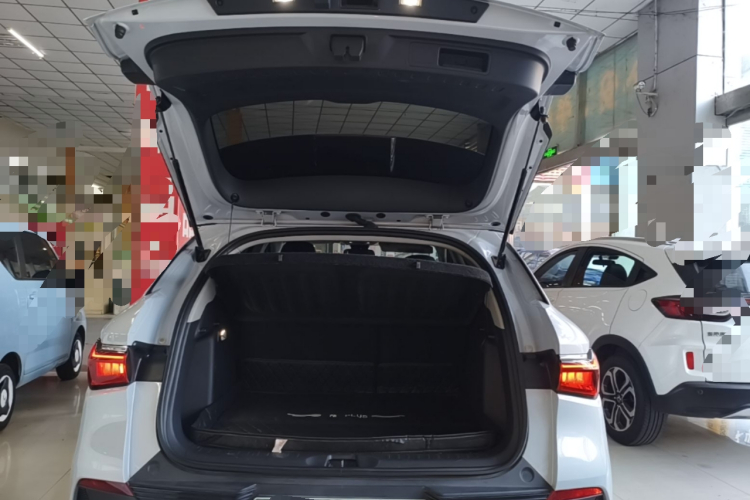 BYD Yuan Plus 2023 #19 BYD Yuan Plus 2023 imagen de coche #19