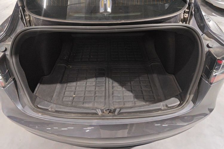 Tesla Model 3 2020 car image #19