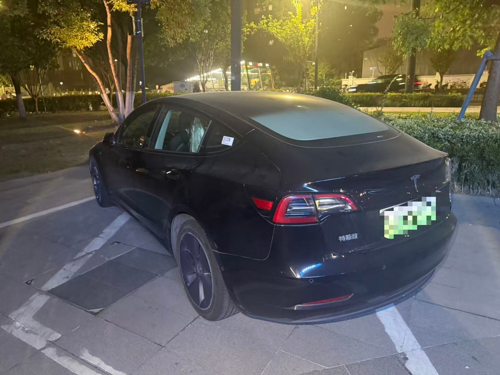 Tesla Model 3 2023 #6 Tesla Model 3 2023 car image #6